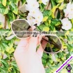 CAJA0153 Lentes Ovalados 12 Piezas Sunglasses Proveedores directos de fabrica (1)