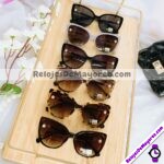 CAJA0162 Lentes Cat Eye 12 Piezas Sunglasses Proveedores directos de fabrica (1)